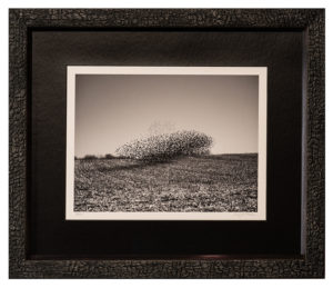 B&W photo with Museum Glass and Charcoal frame